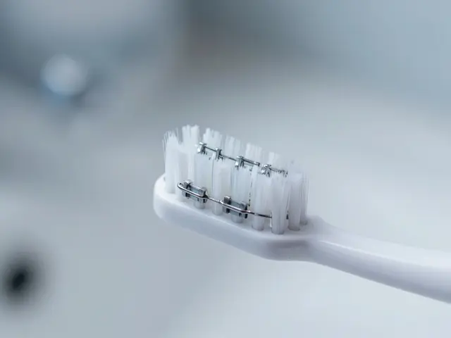 Kartáček na rovnátka: Jak vybrat ten pravý pro dokonalou hygienu