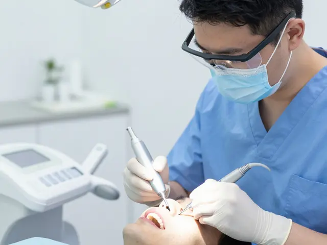 Co vystudovat na dentální hygienu: Vše o studiu, podmínkách a kariéře v ČR